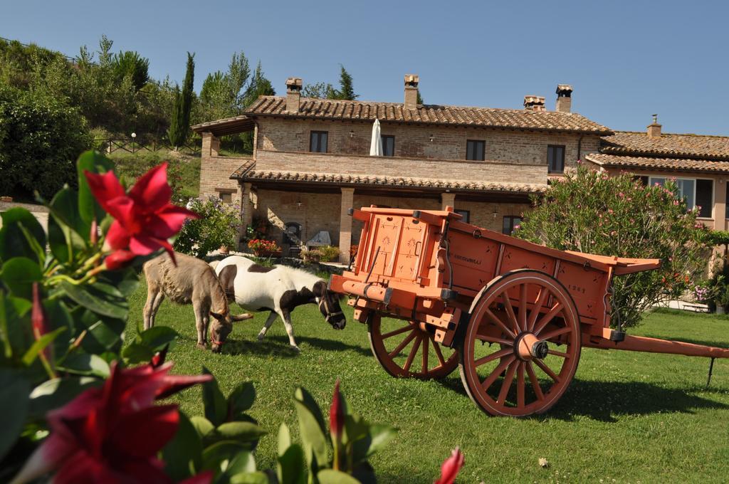 Farm Stay Il Carro Del Colle Collevalenza Exterior photo